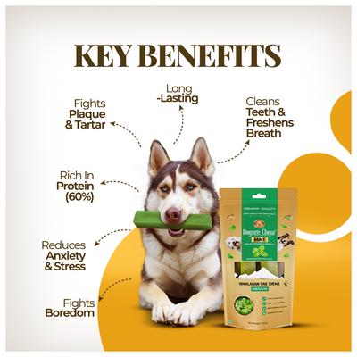 Show full view: Dogsee Himalayan Yak Cheese X-Large Mint Flavor Natural Dog Chews, 1 count slide 6 of 8