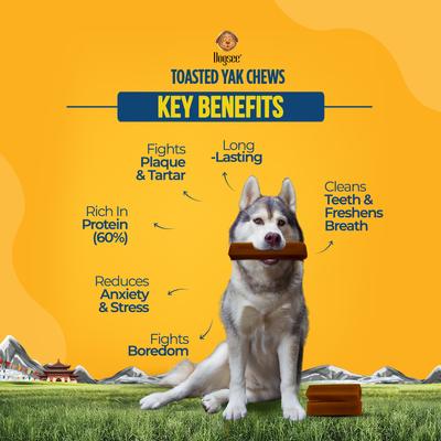 Show full view: Dogsee Toasted Himalayan Yak Cheese X-Large Natural Dog Chews, 1 count slide 6 of 10