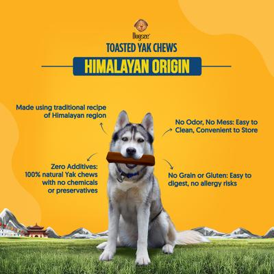 Show full view: Dogsee Toasted Himalayan Yak Cheese X-Large Natural Dog Chews, 1 count slide 5 of 10