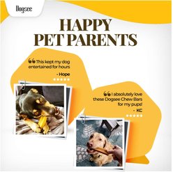 Dogsee Himalayan Yak Cheese with Turmeric Medium Natural Dog Chews, 6 count slide 2 of 9