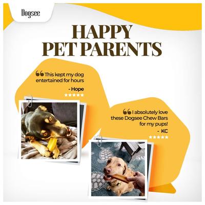 Show full view: Dogsee Himalayan Yak Cheese with Turmeric/Curcumin Dog Chew Treats, Small, 5 count slide 9 of 11