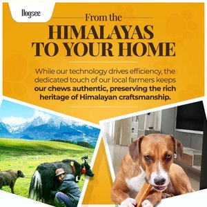 Dogsee Original Himalayan Yak Cheese Large Natural Dog Chews, 4 count