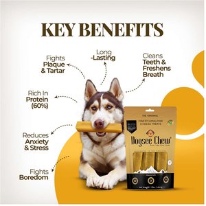 Dogsee Original Himalayan Yak Cheese Large Natural Dog Chews, 4 count