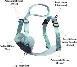 Pet Marvel Adjustable Embroidered Stylish Dog Harness, Mint Green, Medium: 22 to 28.5-in chest slide 2 of 8