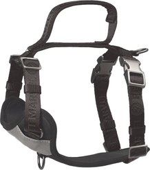 Pet Marvel Adjustable Embroidered Stylish Dog Harness, Grey, Small: 19.75 to 22-in chest