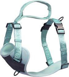 Pet Marvel Adjustable Embroidered Stylish Dog Harness, Mint Green, X-Large: 29 to 48.5-in chest slide 1 of 8