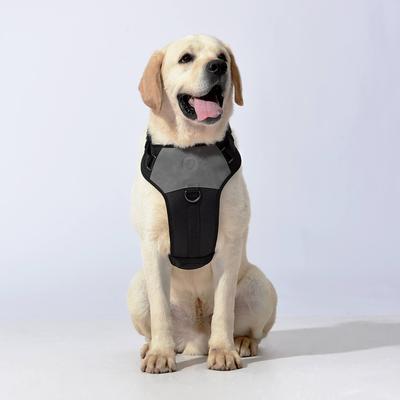 Show full view: Pet Marvel Adjustable Embroidered Stylish Dog Harness, Grey, Small: 19.75 to 22-in chest slide 8 of 9