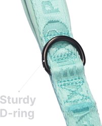 Pet Marvel Adjustable Stylish Neoprene Padded Handle Dog Leash, Mint Green, Large: 4-ft, 1-in wide slide 2 of 7