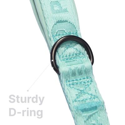 Show full view: Pet Marvel Adjustable Stylish Neoprene Padded Handle Dog Leash, Mint Green, Medium: 4-ft, 3/4-in wide slide 6 of 7
