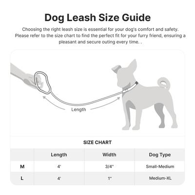 Show full view: Pet Marvel Adjustable Stylish Neoprene Padded Handle Dog Leash, Mint Green, Medium: 4-ft, 3/4-in wide slide 3 of 7