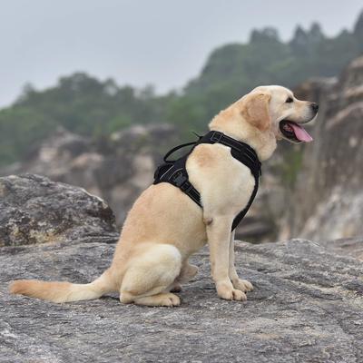 Show full view: Pet Marvel High-Perfomance Tactical Dog Harness with Poop Bag Holder, Black, Medium: 22 to 28.5-in chest slide 9 of 10