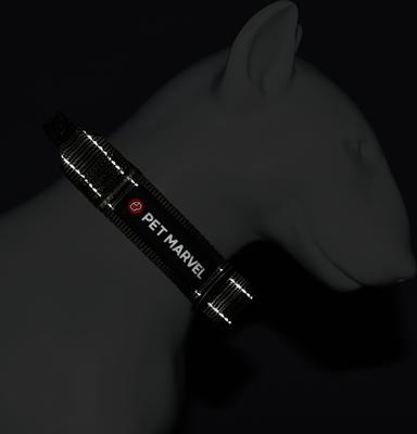 Show full view: Pet Marvel High Performance Tactical Dog Collar with Handle, Black, Medium: 15 to 19-in neck, 1.25-in wide slide 7 of 7