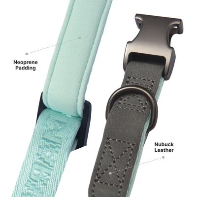 Show full view: Pet Marvel Heavy Duty Solid Neoprene Padded Dog Collar, Mint Green, Small: 9 to 12-in neck, 3/4-in wide slide 7 of 10