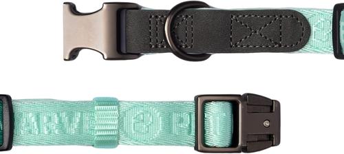 Show full view: Pet Marvel Heavy Duty Solid Neoprene Padded Dog Collar, Mint Green, Small: 9 to 12-in neck, 3/4-in wide slide 8 of 10