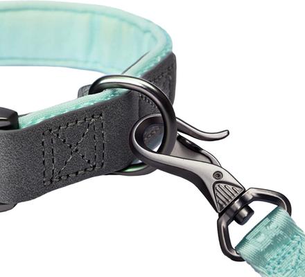 Show full view: Pet Marvel Heavy Duty Solid Neoprene Padded Dog Collar, Mint Green, Small: 9 to 12-in neck, 3/4-in wide slide 5 of 10