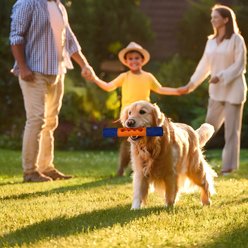 Petopia Stick Interactive Tough Chew Dog Toy, Large, Blue/Orange slide 2 of 7