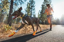 Ruffwear Summit Trex Dog Boots, Sunrise Yellow, 2.75-in slide 2 of 4
