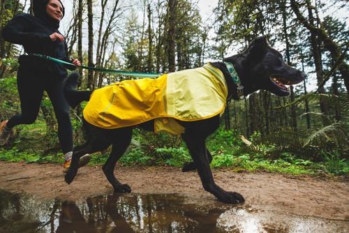 Show full view: Ruffwear Sun Shower Dog Raincoat, Mineral Yellow, Medium slide 8 of 10
