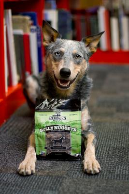 Show full view: Redbarn Naturals Bully Nuggets Dog Treats, 3.9-oz bag slide 5 of 9