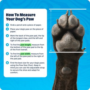 BARK Dog Crocs, Aqua, Large