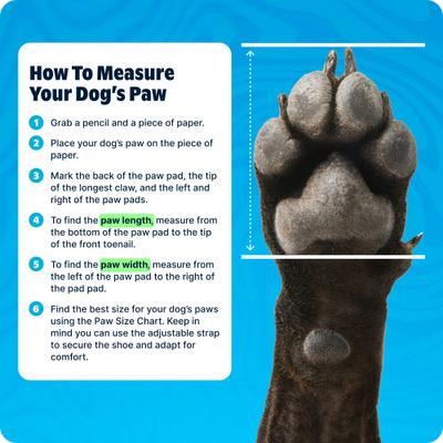 Show full view: BARK Dog Crocs, Yellow, Large slide 8 of 9