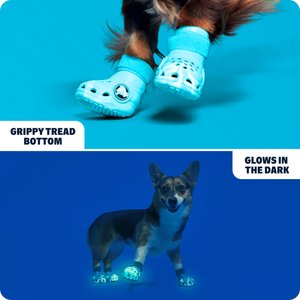 BARK Dog Crocs, Aqua, Small