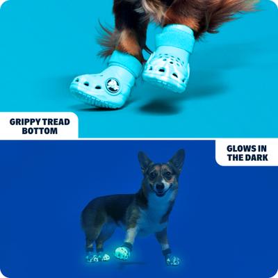 Show full view: BARK Dog Crocs, Aqua, Small slide 3 of 9