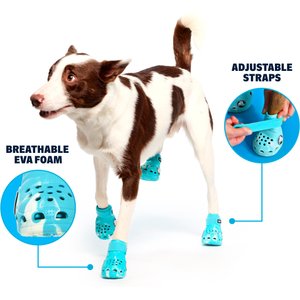 BARK Dog Crocs, Aqua, Large