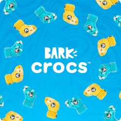 BARK Dog Crocs, Aqua, Small slide 2 of 8