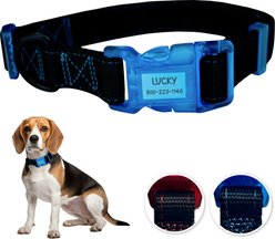 Sporn Personalized ID Dog Collar, Black/Blue, Medium slide 2 of 9