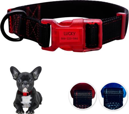 Show full view: Sporn Personalized ID Dog Collar, Black/Red, Small slide 9 of 10