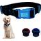 Show in main carousel: Sporn Personalized ID Dog Collar, Black/Blue, Large slide 9 of 10