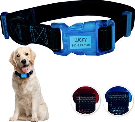 Show full view: Sporn Personalized ID Dog Collar, Black/Blue, Large slide 9 of 10