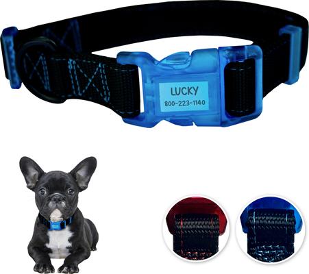 Show full view: Sporn Personalized ID Dog Collar, Black/Blue, Small slide 9 of 10