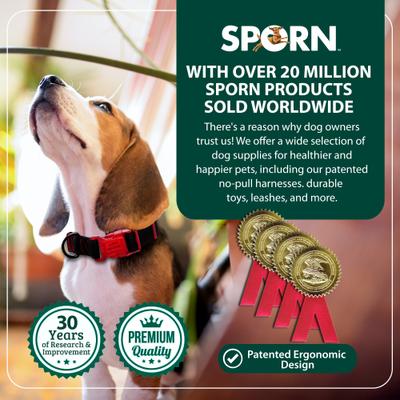 Show full view: Sporn Personalized ID Dog Collar, Black/Blue, Small slide 8 of 10