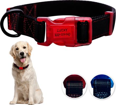 Show full view: Sporn Personalized ID Dog Collar, Black/Red, Large slide 9 of 10