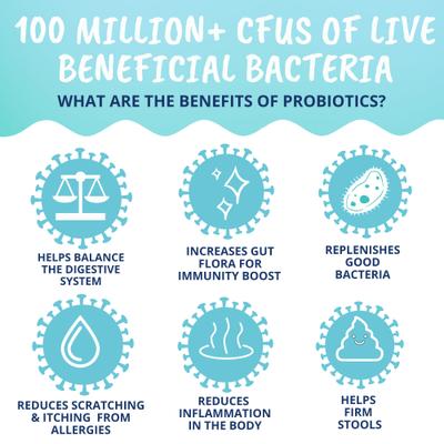 Show full view: Under the Weather Probiotic Soft Chews Dog Supplement, 60 count slide 5 of 8