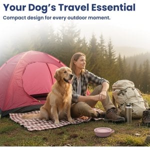 PawsPik 2-in-1 18/8 Stainless Steel & Silicone Dog & Cat Travel Bowl, 4 cup, Cherry Blossom Pink