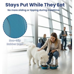 PawsPik 2-in-1 18/8 Stainless Steel & Silicone Dog & Cat Travel Bowl, Midnight Summit Blue