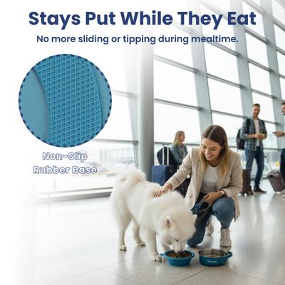 Show full view: PawsPik 2-in-1 18/8 Stainless Steel & Silicone Dog & Cat Travel Bowl, Midnight Summit Blue slide 4 of 11