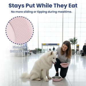 PawsPik 2-in-1 18/8 Stainless Steel & Silicone Dog & Cat Travel Bowl, 4 cup, Cherry Blossom Pink