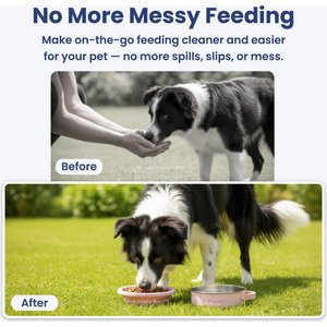PawsPik 2-in-1 18/8 Stainless Steel & Silicone Dog & Cat Travel Bowl, 4 cup, Cherry Blossom Pink