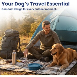 PawsPik 2-in-1 18/8 Stainless Steel & Silicone Dog & Cat Travel Bowl, Midnight Summit Blue