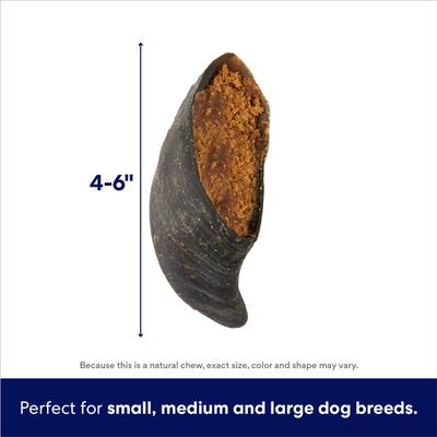 Show full view: Bones & Chews Made in USA Cheese & Bacon Flavored Filled Beef Hooves Dog Treats, 2 count slide 3 of 8