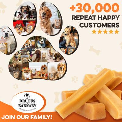 Show full view: Brutus & Barnaby 5-in Gold Himalayan Yak Cheese Natural Dog Chew Treats, 6 count slide 8 of 10