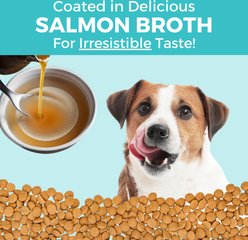 KOHA Sensitive Stomach Limited Ingredient Bland Diet Salmon, Brown Rice & Pumpkin Dry Dog Food Food, 3.5-lb bag slide 2 of 8