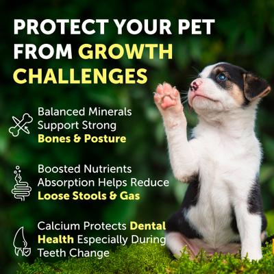 Show full view: Nature's Protection Healthy Growth Calcium Unflavored Powder Joint Supplement for Puppies & Kittens, 9-oz jar slide 4 of 10
