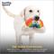 Show in main carousel: Huxley & Kent Happy Rainbow Squeaky Power Plush Dog Toy, Rainbow/White, Small slide 7 of 8