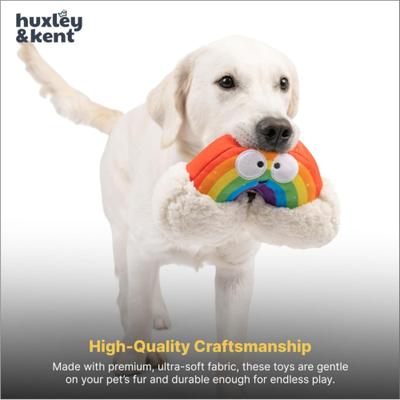 Show full view: Huxley & Kent Happy Rainbow Squeaky Power Plush Dog Toy, Rainbow/White, Small slide 7 of 8