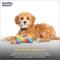 Show in main carousel: Huxley & Kent Tiny Tuff Equality Bone Squeaky Plush Dog Toy, Rainbow slide 6 of 7